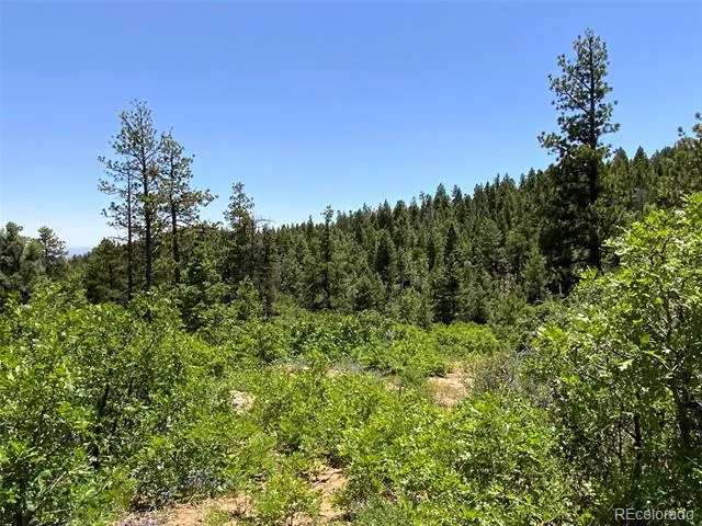 000 Peak View Ridge Canon City, CO 81212