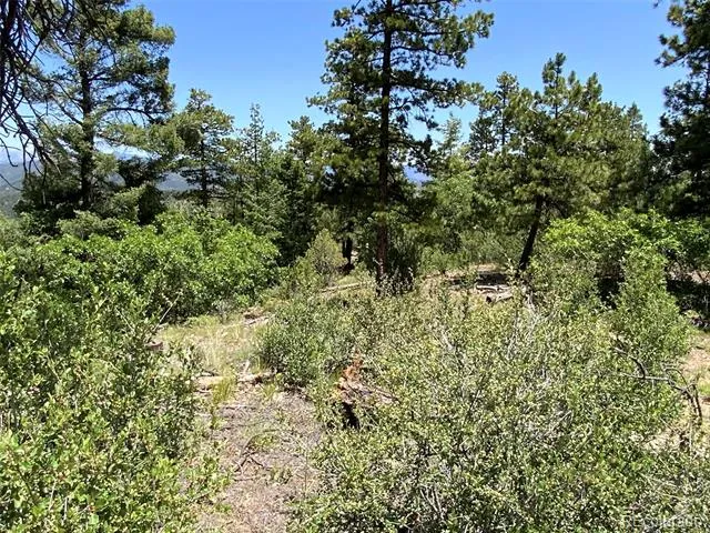 000 Peak View Ridge Canon City, CO 81212
