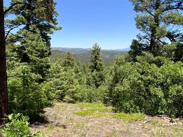 000 Peak View Ridge Canon City, CO 81212