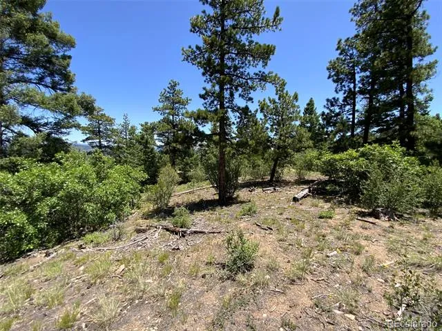 000 Peak View Ridge Canon City, CO 81212
