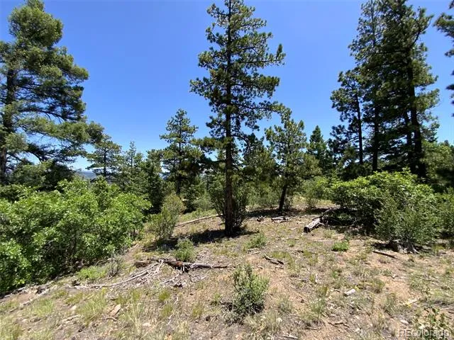 000 Peak View Ridge Canon City, CO 81212