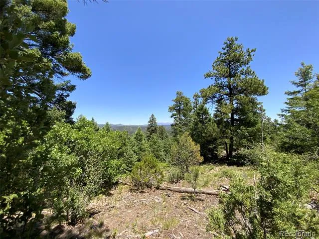 000 Peak View Ridge Canon City, CO 81212