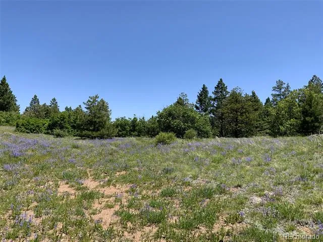 000 Peak View Ridge Canon City, CO 81212