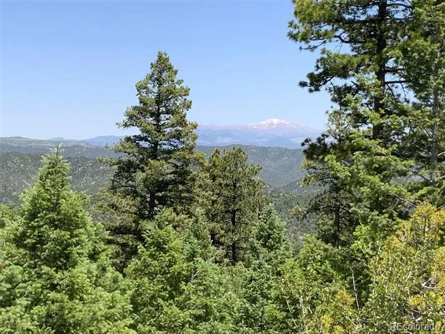 000 Peak View Ridge Canon City, CO 81212