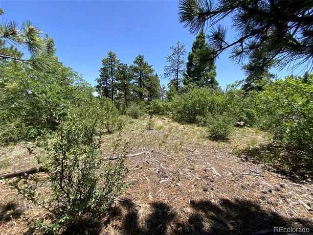 000 Peak View Ridge Canon City, CO 81212