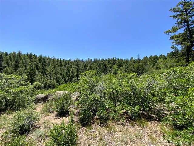 000 Peak View Ridge Canon City, CO 81212