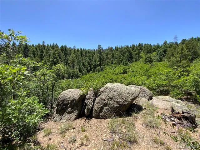000 Peak View Ridge Canon City, CO 81212