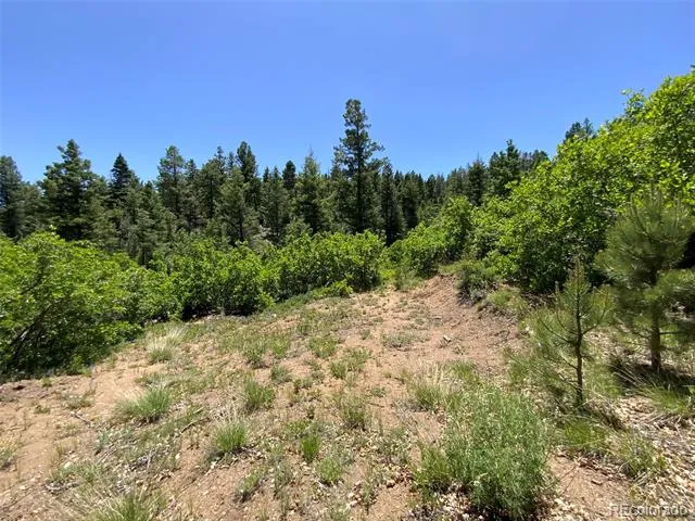 000 Peak View Ridge Canon City, CO 81212