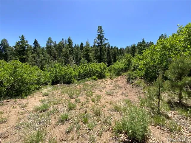000 Peak View Ridge Canon City, CO 81212