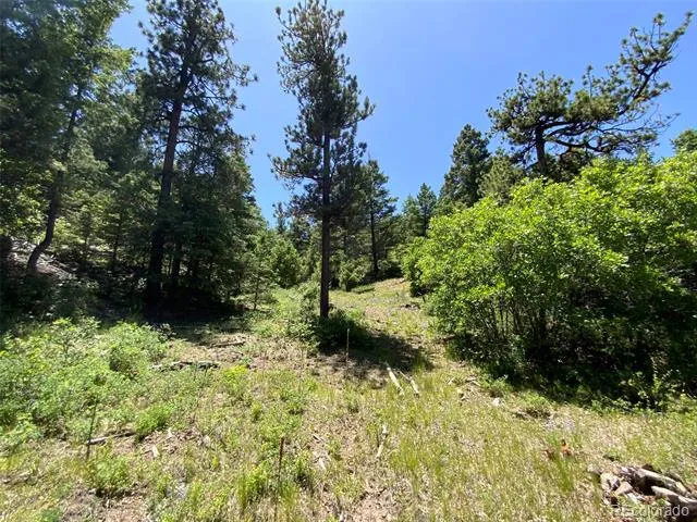 000 Peak View Ridge Canon City, CO 81212