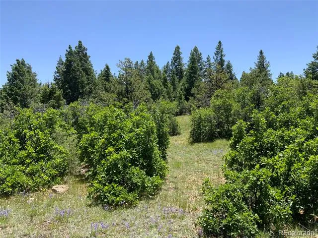 000 Peak View Ridge Canon City, CO 81212