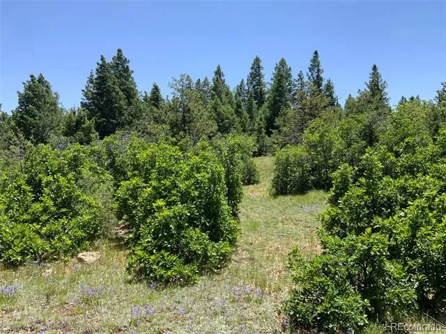 000 Peak View Ridge Canon City, CO 81212
