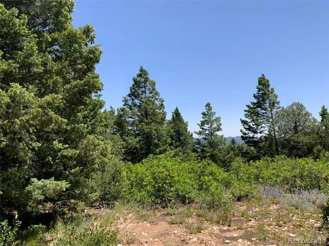000 Peak View Ridge Canon City, CO 81212