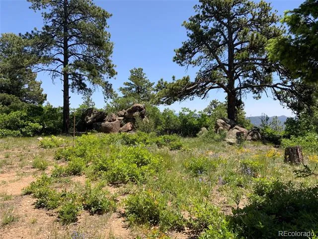 000 Peak View Ridge Canon City, CO 81212
