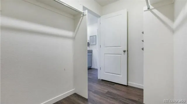 5740 Gelbray Place Windsor, CO 80528