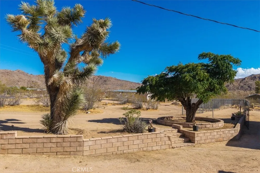 8715 Desert Shadows Road Joshua Tree, CA 92252