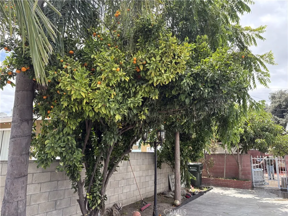 9955 Parkinson Whittier, CA 90605