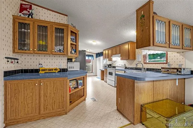 213 S 1st Street Victor, CO 80860