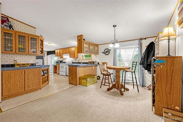 213 S 1st Street Victor, CO 80860
