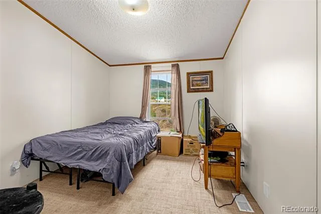 213 S 1st Street Victor, CO 80860