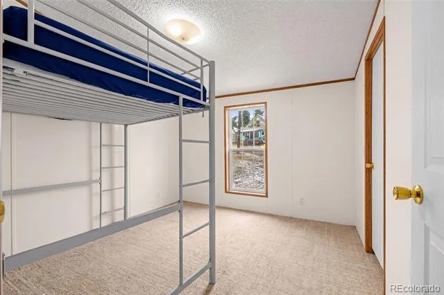 213 S 1st Street Victor, CO 80860