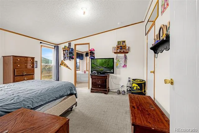 213 S 1st Street Victor, CO 80860