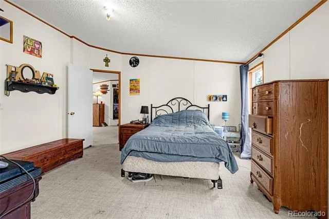 213 S 1st Street Victor, CO 80860