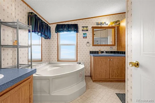 213 S 1st Street Victor, CO 80860