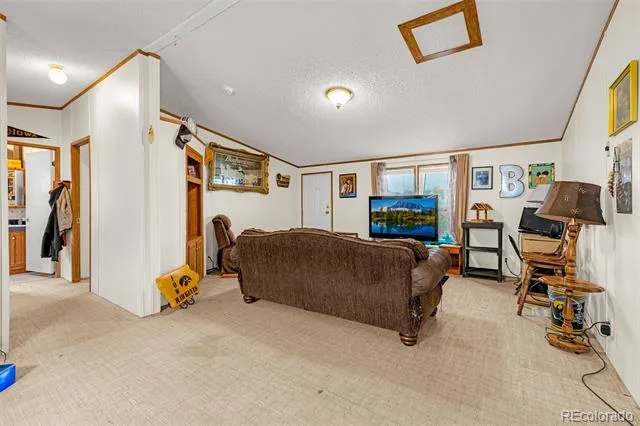 213 S 1st Street Victor, CO 80860