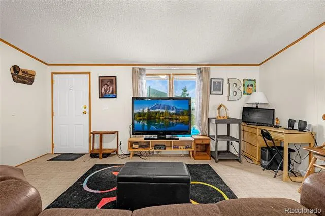 213 S 1st Street Victor, CO 80860