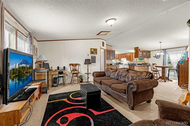 213 S 1st Street Victor, CO 80860