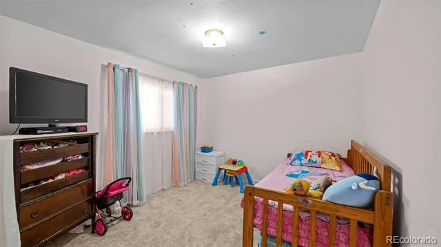 212 Burgess Drive Castle Rock, CO 80104