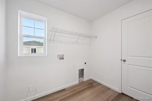5430 Brangus Drive Windsor, CO 80528