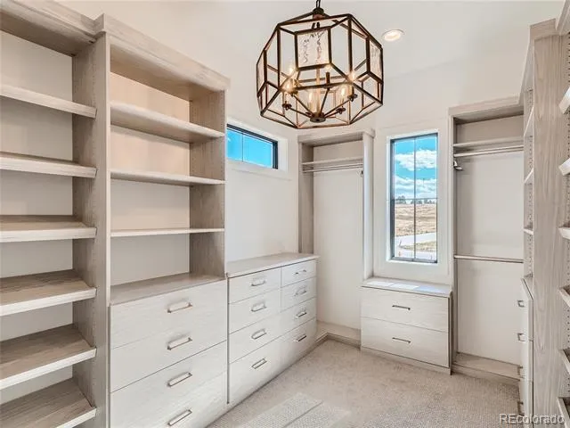 8599 Yellowcress Street Littleton, CO 80125