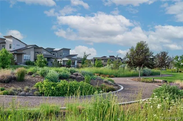 8599 Yellowcress Street Littleton, CO 80125