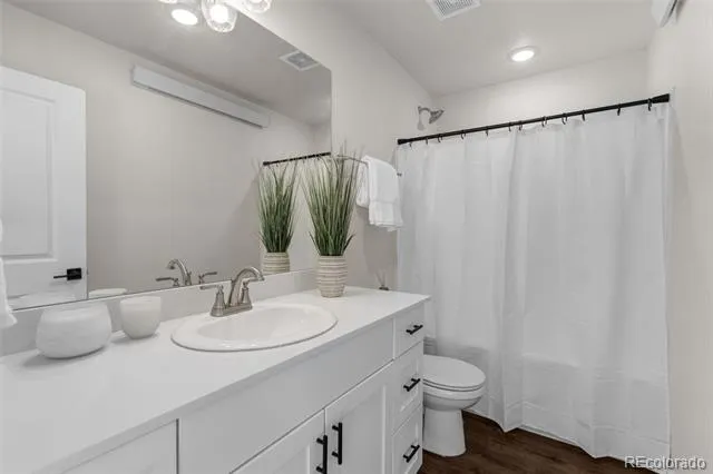 325 Williams Street Buena Vista, CO 81211