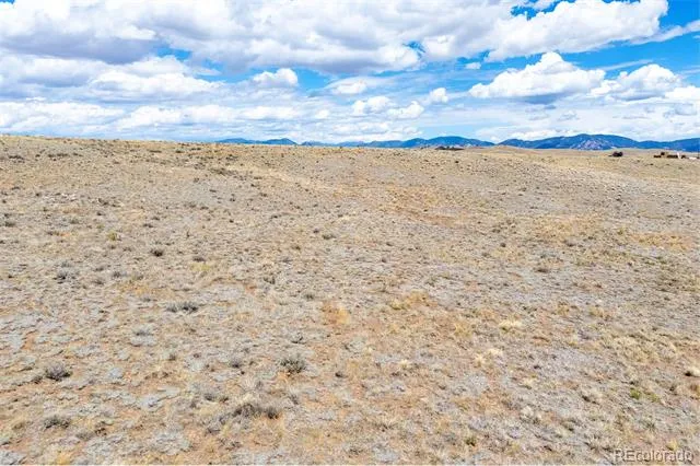 700 Easton Road Hartsel, CO 80449