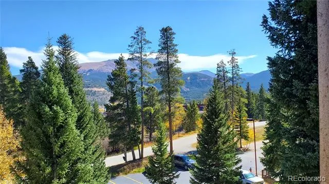 1001 Grandview Drive #C19 Breckenridge, CO 80424