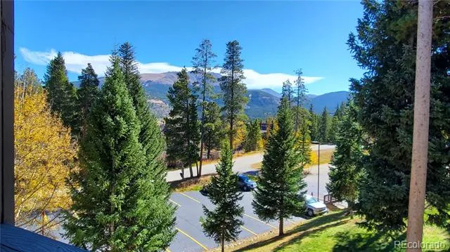 1001 Grandview Drive #C19 Breckenridge, CO 80424