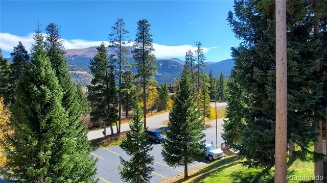 1001 Grandview Drive #C19 Breckenridge, CO 80424