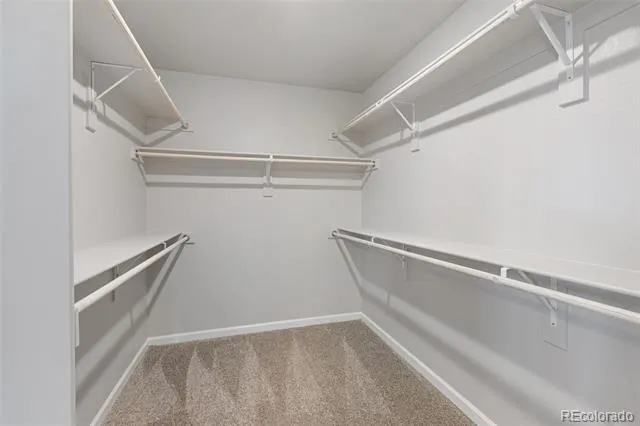 16953 Ballinger Circle Mead, CO 80542