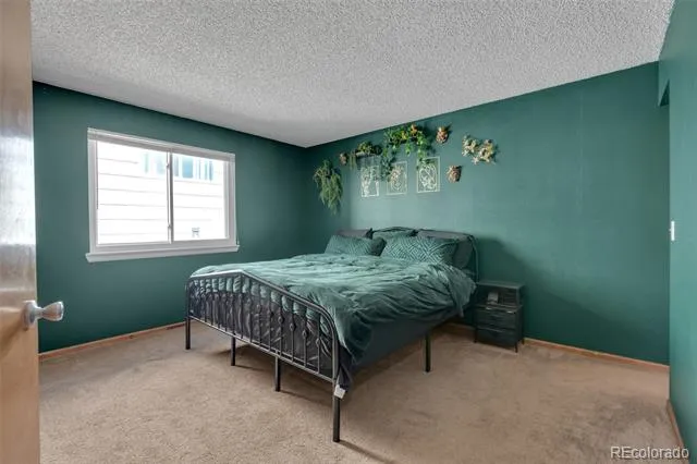 4314 Nepal Street Denver, CO 80249