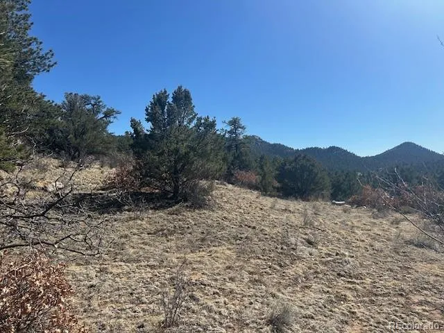 98 Discovery Drive Westcliffe, CO 81252