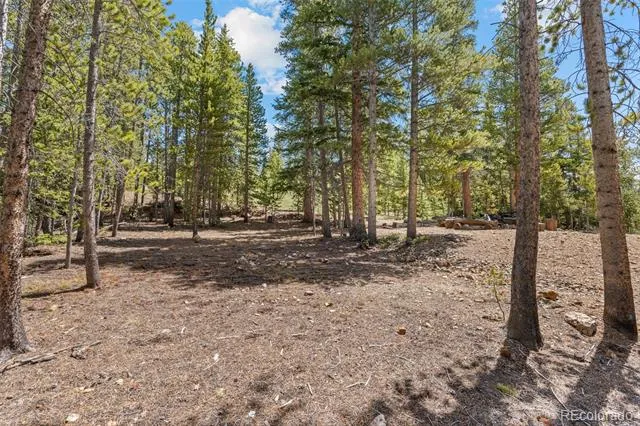 92 Emmett Lode Road #B Breckenridge, CO 80424