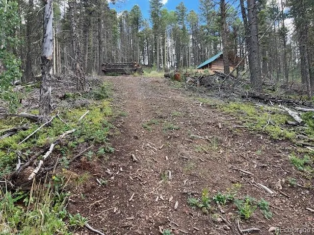 Lot 5586 Kawasaki Road San Luis, CO 81152