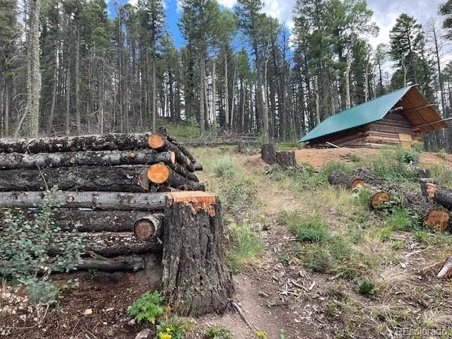 Lot 5586 Kawasaki Road San Luis, CO 81152