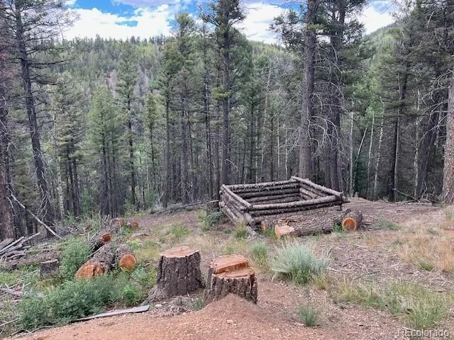 Lot 5586 Kawasaki Road San Luis, CO 81152