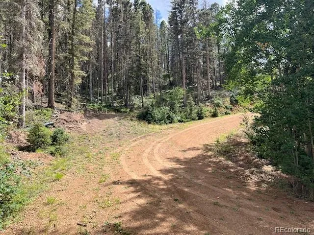 Lot 5586 Kawasaki Road San Luis, CO 81152