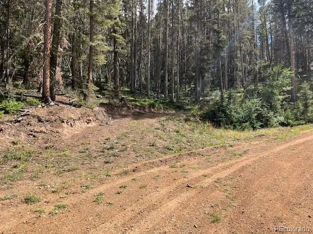 Lot 5586 Kawasaki Road San Luis, CO 81152