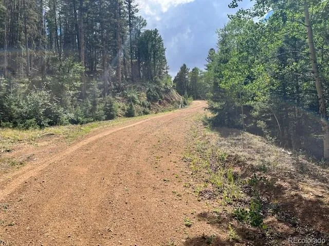 Lot 5586 Kawasaki Road San Luis, CO 81152